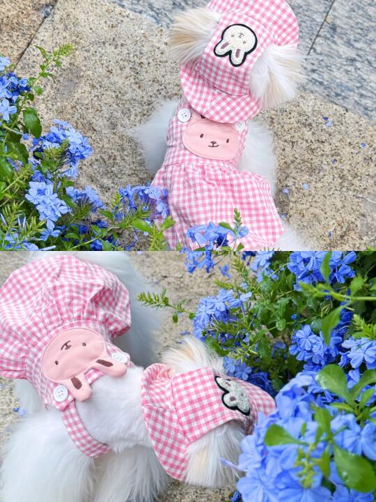 🌸🍄采蘑菇的小姑娘～