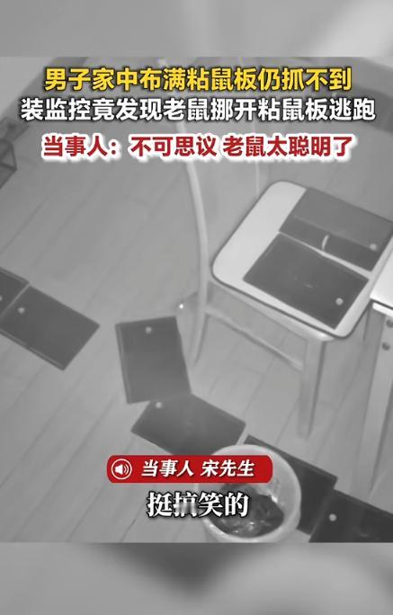 “万万没想到！”近日，安徽马鞍山，一男子见家里有老鼠，就买了许多粘鼠板放在家里各