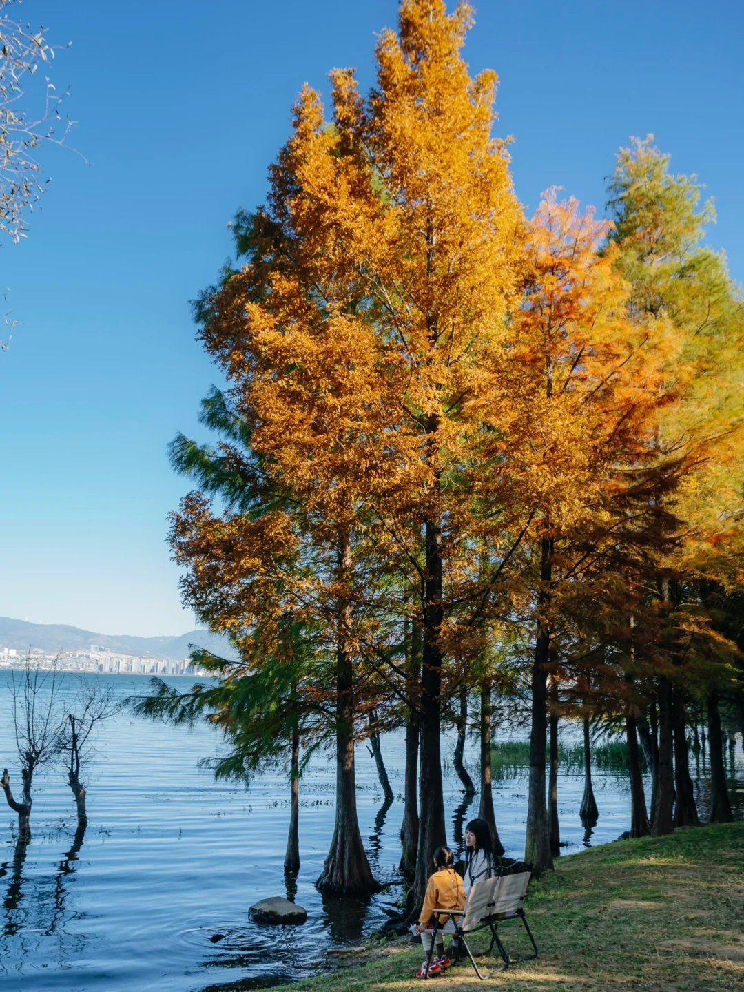 别去龙龛S湾人挤人❗️这个地方美爆了🍂