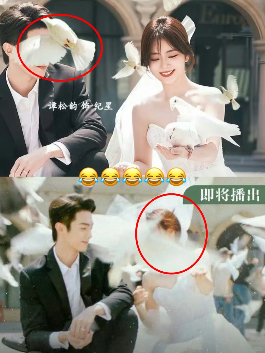 谭松韵粉丝和许凯粉丝做的海报，好实用的和平鸽😂 	 这是不满对方的男...