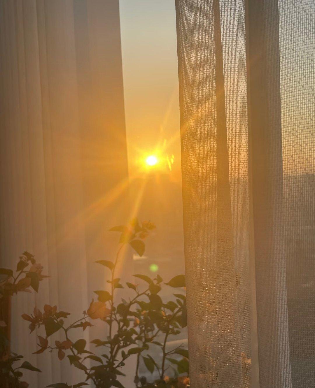 💤睡意朦胧的清晨被一束光给唤醒，☀️看到那束光，抚慰了我浮躁的心，也有被治愈❤