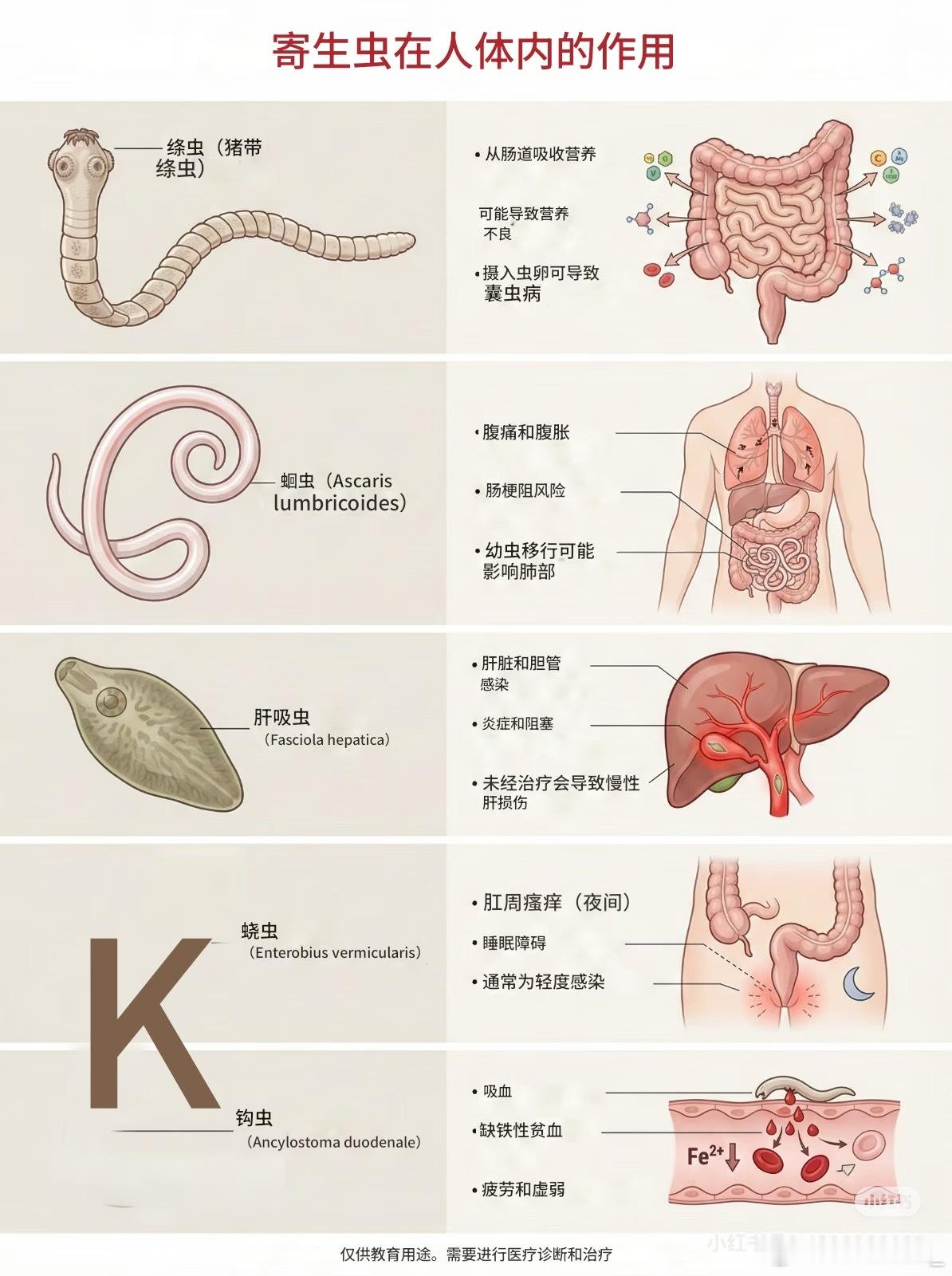 以为没事实际上有寄生虫家养水产、简易凉拌生食别掉以轻心，清洗无法根除虫卵，很多隐