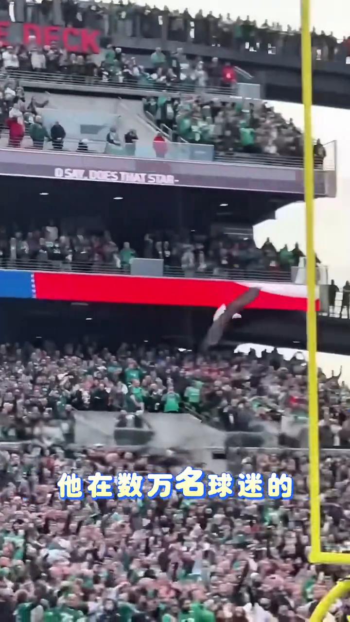 谁能想得到在被训练了五个月之后，这只老鹰终于在一个座无虚席的足球场内被释放了。在
