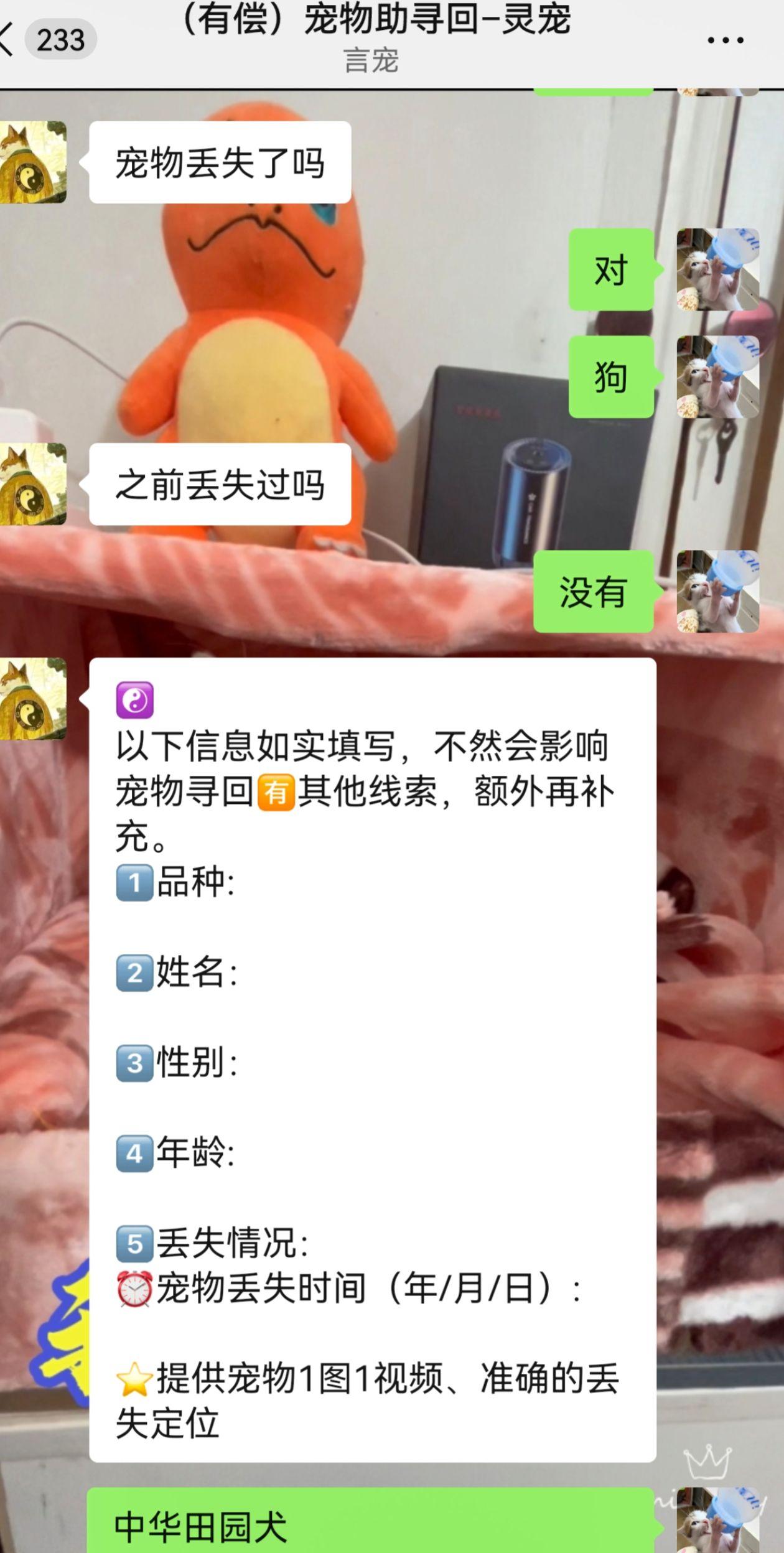 这个能信吗？算卦找狗，不过得先交费。