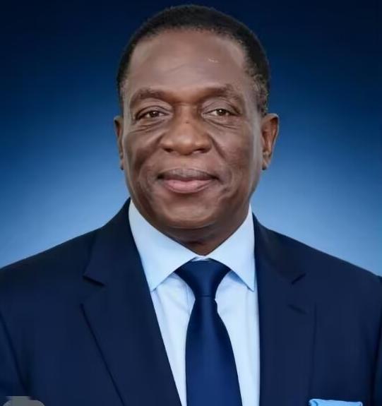 前脚巴拿马不顾中方反对，强行接管了巴拿马港口，后脚津巴布韦突然宣布暂停锂矿出口，