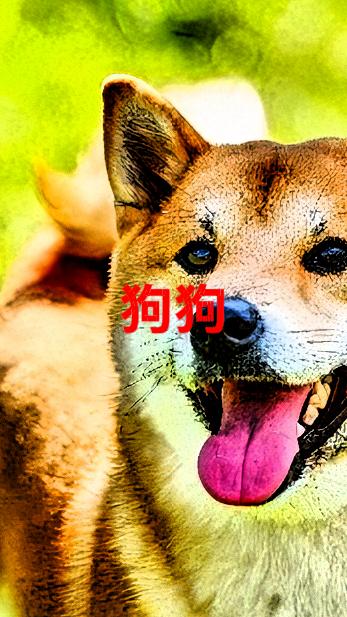 今日状态格外轻松愉悦，武汉这大好晴天实在妙极！阳光倾洒在身上，暖融融的，心情也随