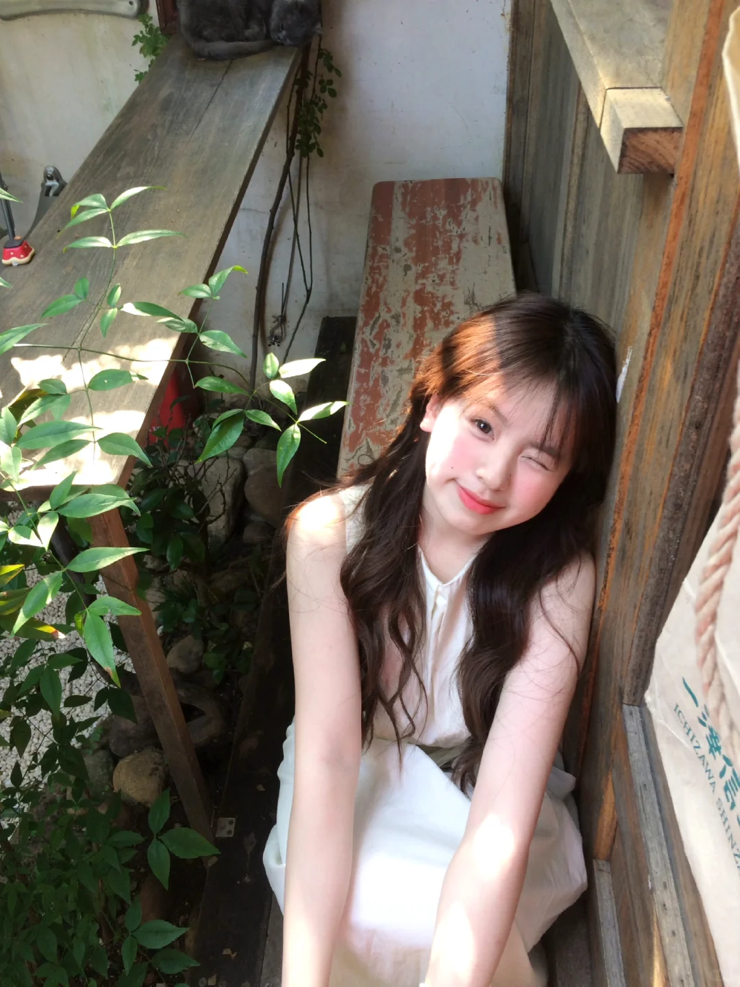 小院夏天𓆡