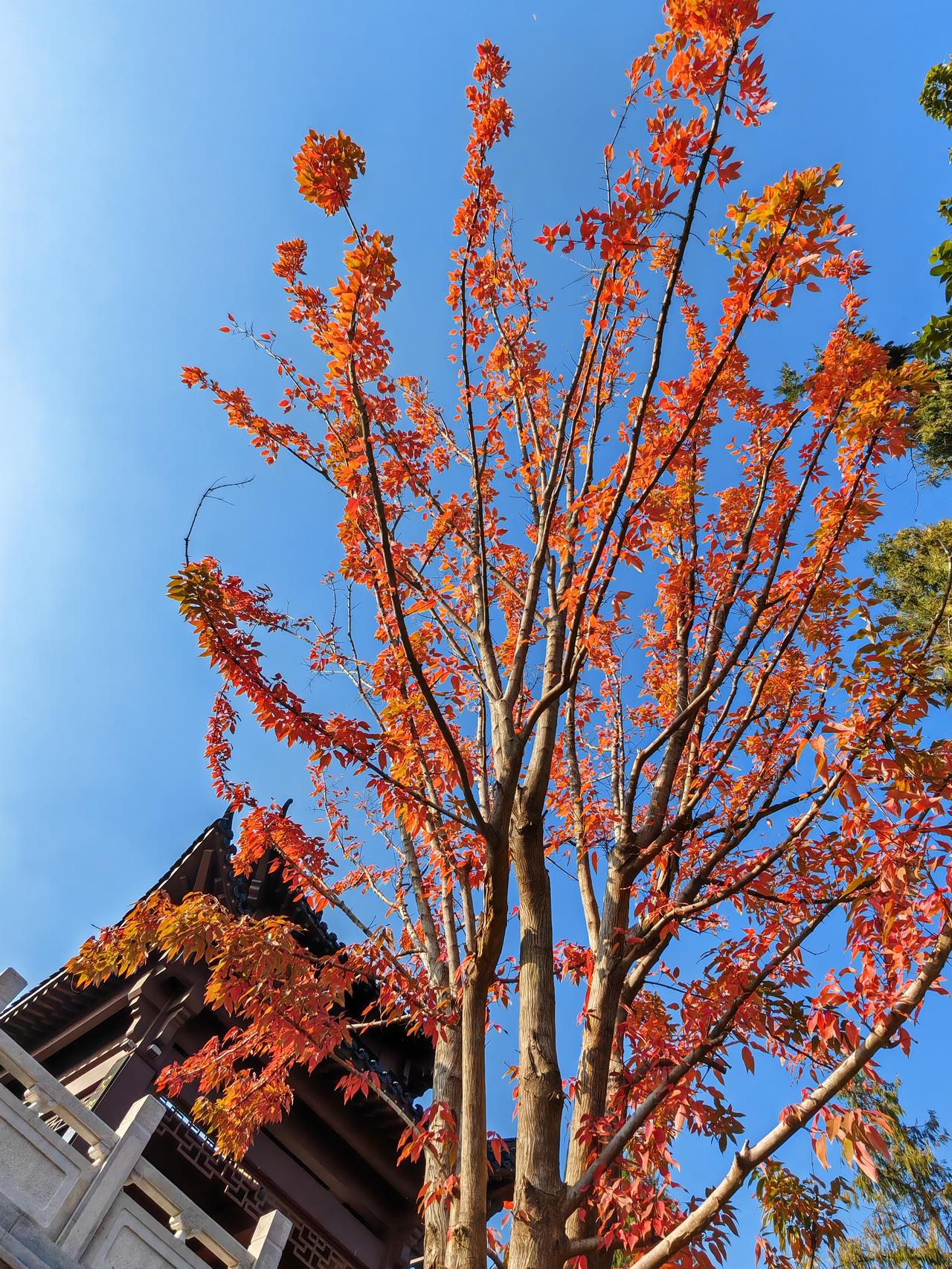 1、吃饭喜欢翻菜的人，一般都很自私。
2、丑话说到前面的人，大多比较靠谱。
3、
