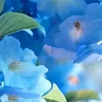 正能量生活是自己的，不是活给别人看的，不要太在意别人的看法。不要迷失在别人的评价