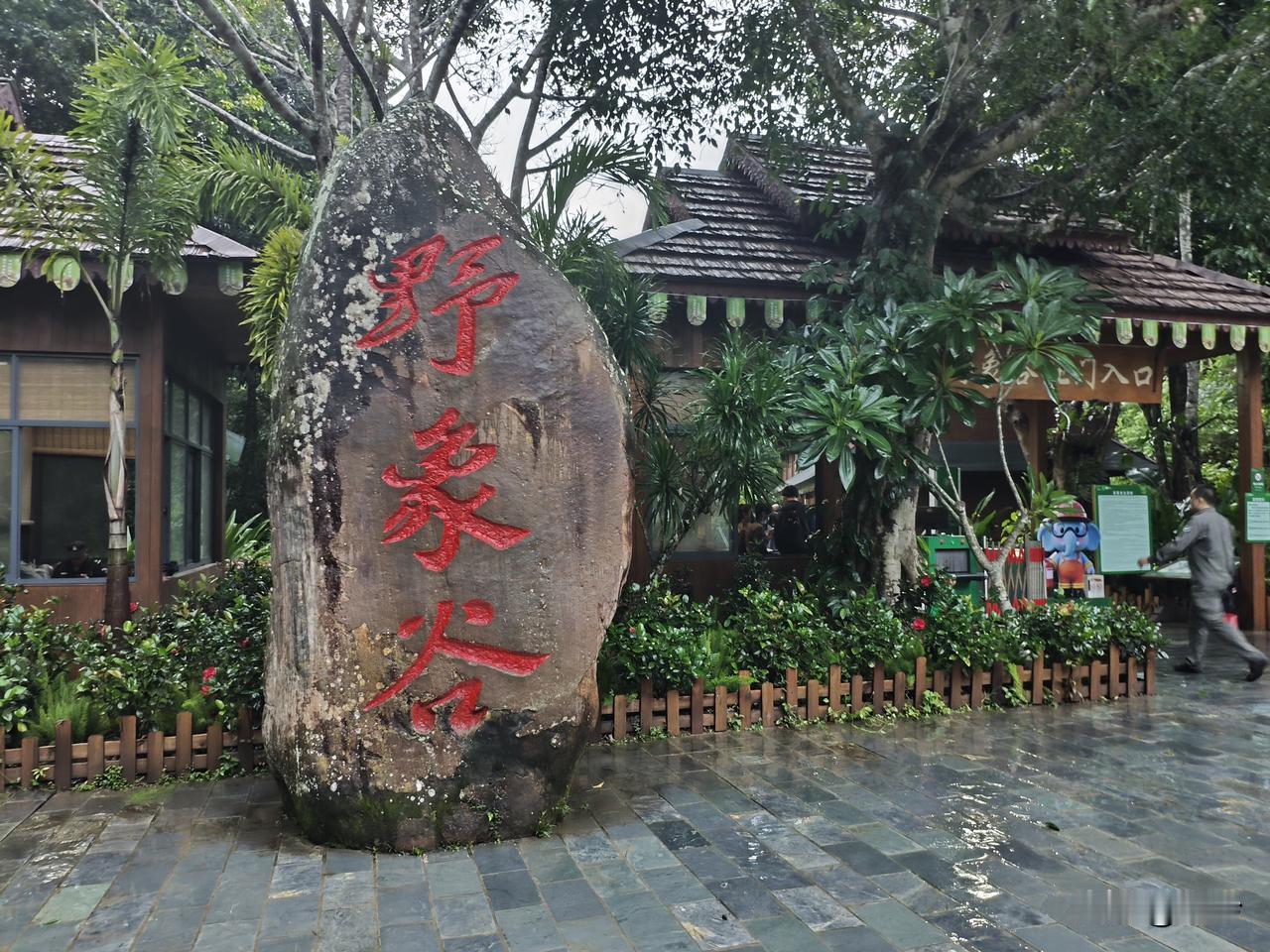 江城子25·西双版纳野象谷
雨林叠翠隐灵象。卷长鼻，沐清光。
缓步庭前，垂齿韵雍
