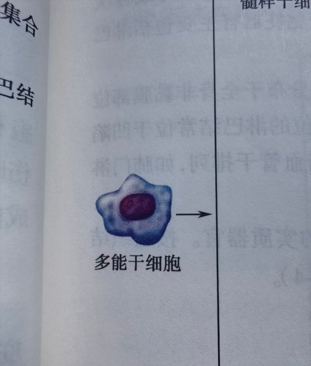 有多能干。这个没得说确实很能干。 ​​​