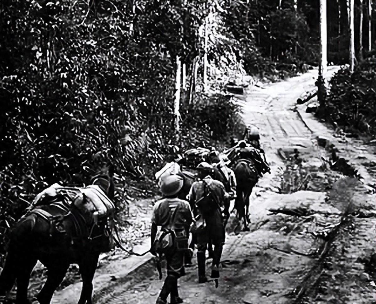 1942年女兵亲笔记录远征军在野人山的艰难求生经历，真实还原那段苦难岁月！
19