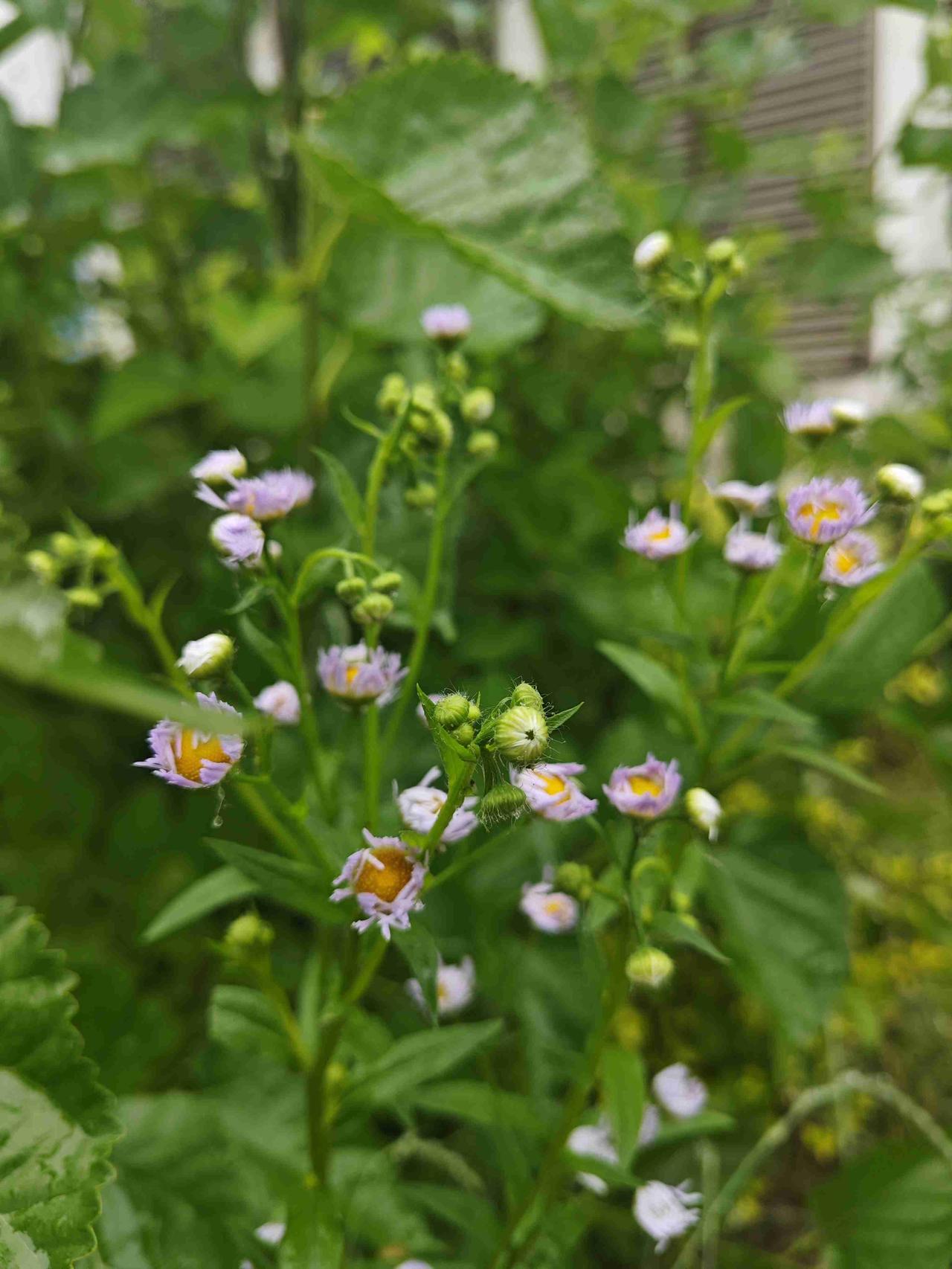 我的今日状态：😁轻松愉快
我这里的天气：🌧下雨
淅沥沥的小雨下个不停，从半夜