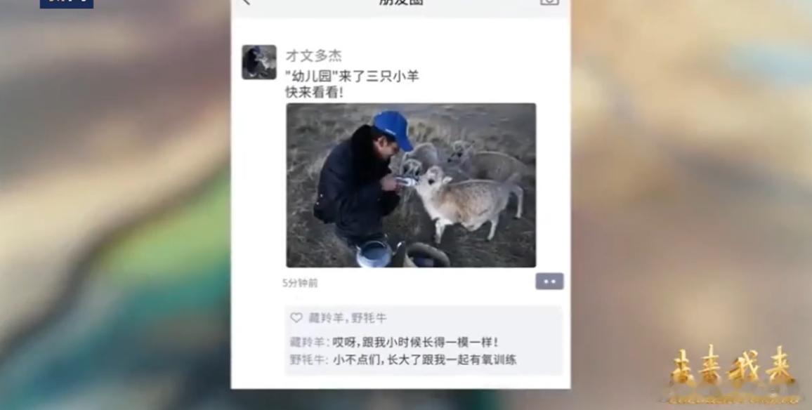 胡歌可可西里好久不见 随着胡歌与杨紫的故事深入人心，可可西里也在悄然吸引着人们的
