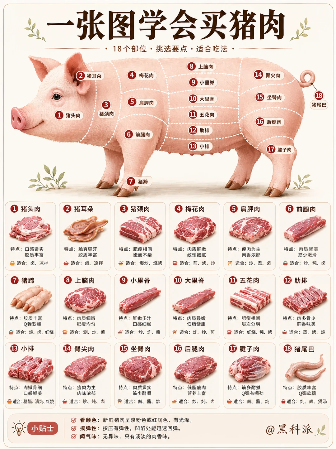 一张图学会买猪肉，再也不怕买错！
