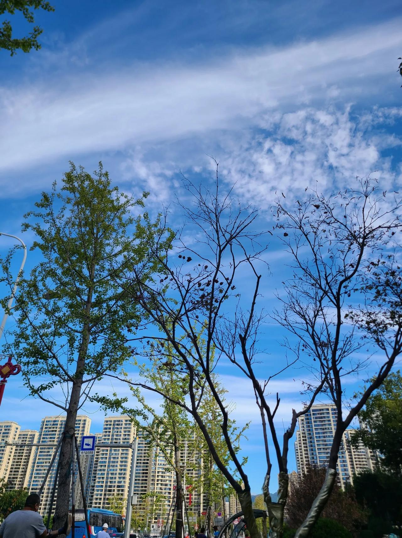 你们喜欢黄梅戏吗？喜欢啊，可能因为我爷爷我爸爸都喜欢，耳濡目染。还有骨子里那种喜