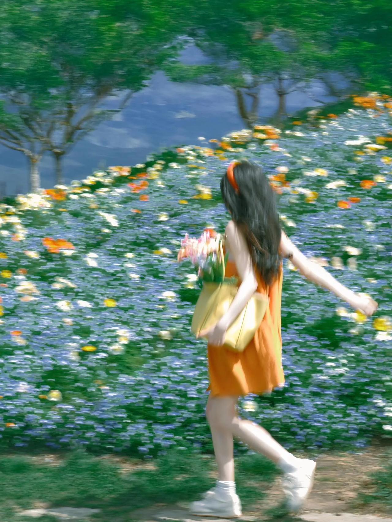 夏日花海漫步