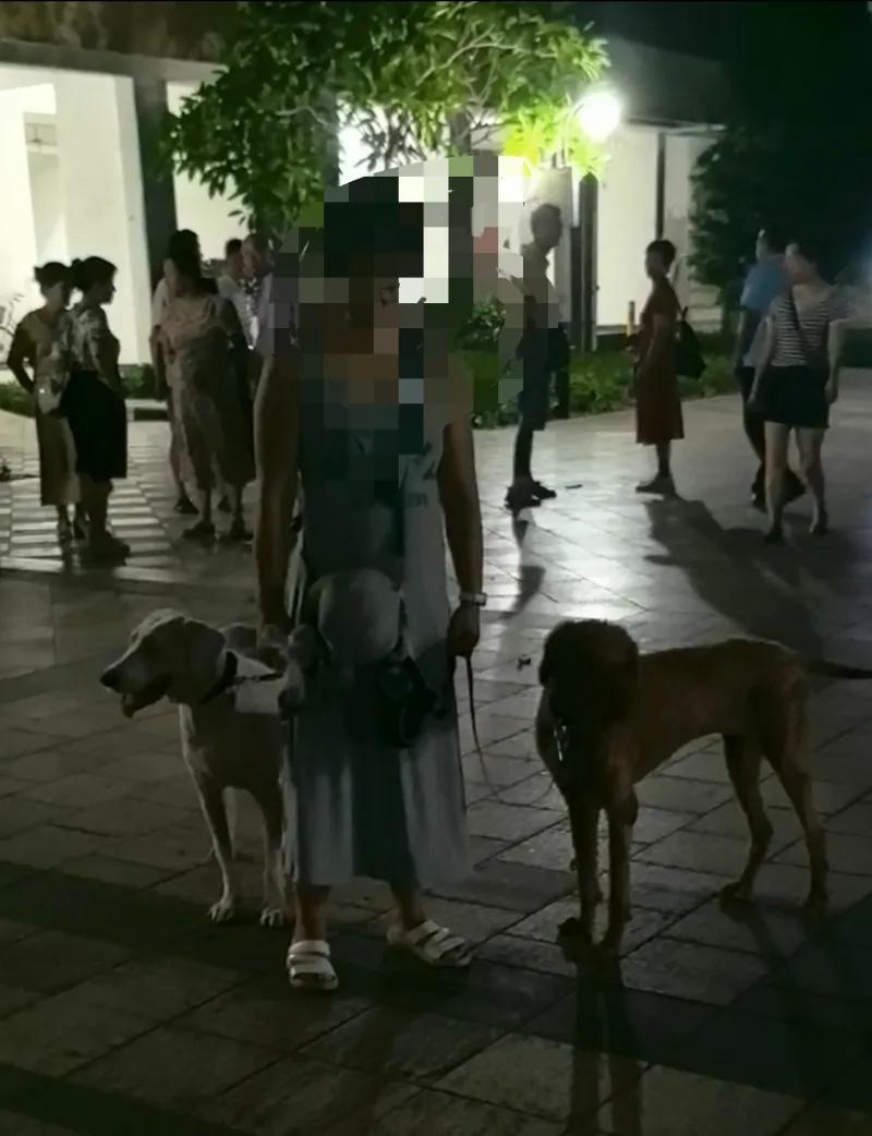 这组图片记录了小区业主群里发生的遛狗纠纷事件，第一张现场照片拍摄于夜晚小区步道，
