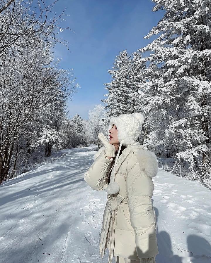 ❄️ 