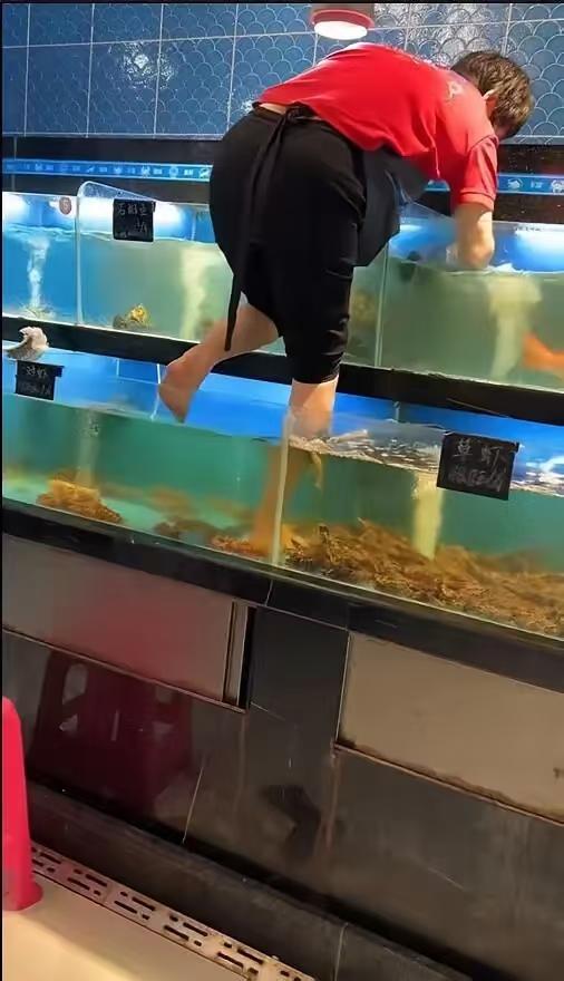 女子赤脚站在装虾的海鲜柜里做卫生。一条河一个夏天不知道有多少人在里面洗过脚，可人