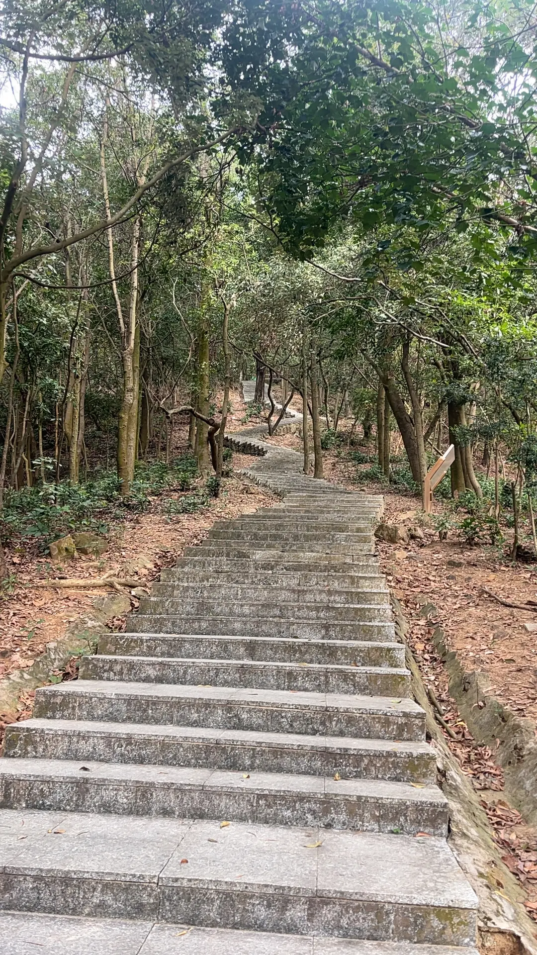 来个库存随走随拍大自然的美