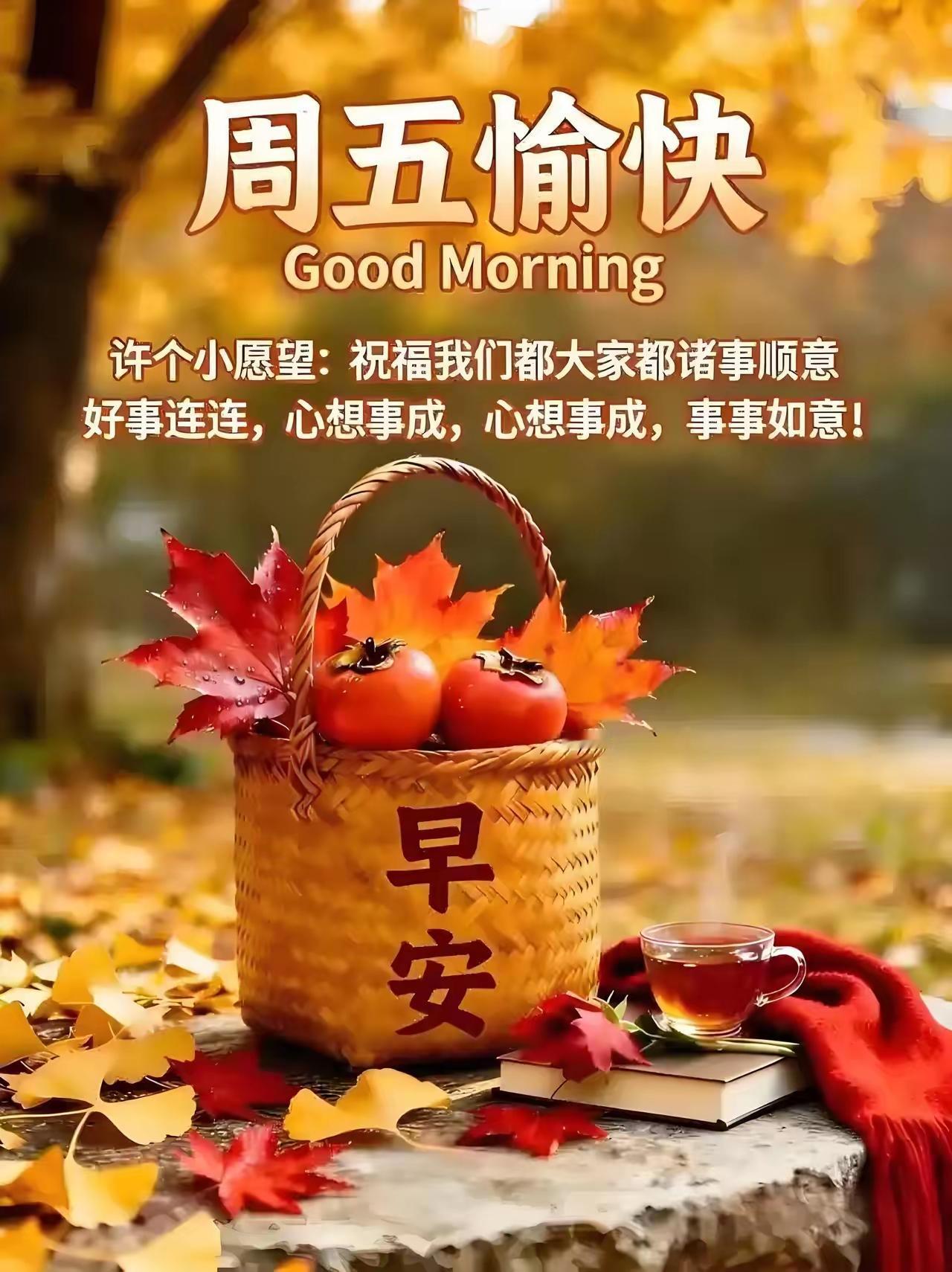秋意渐浓，岁月向暖🍂
一晃又是温柔的周五。
 
一周的忙碌悄然收尾，
所有的疲