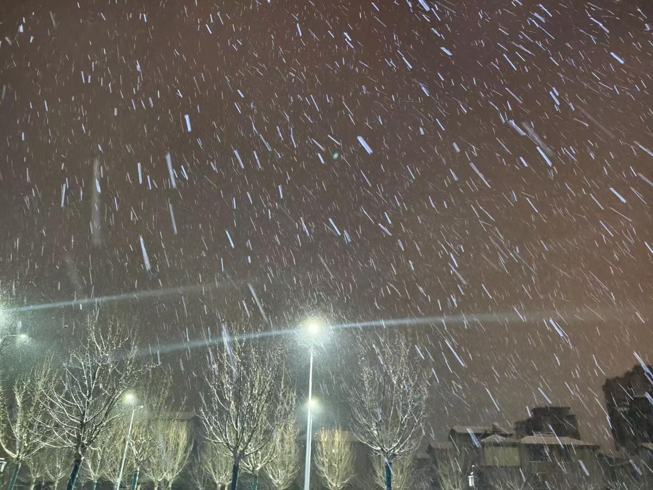 这场春雪来得实在，不飘不碎，厚厚实实地盖在大地上，干净又治愈。路边的车、树、栏杆