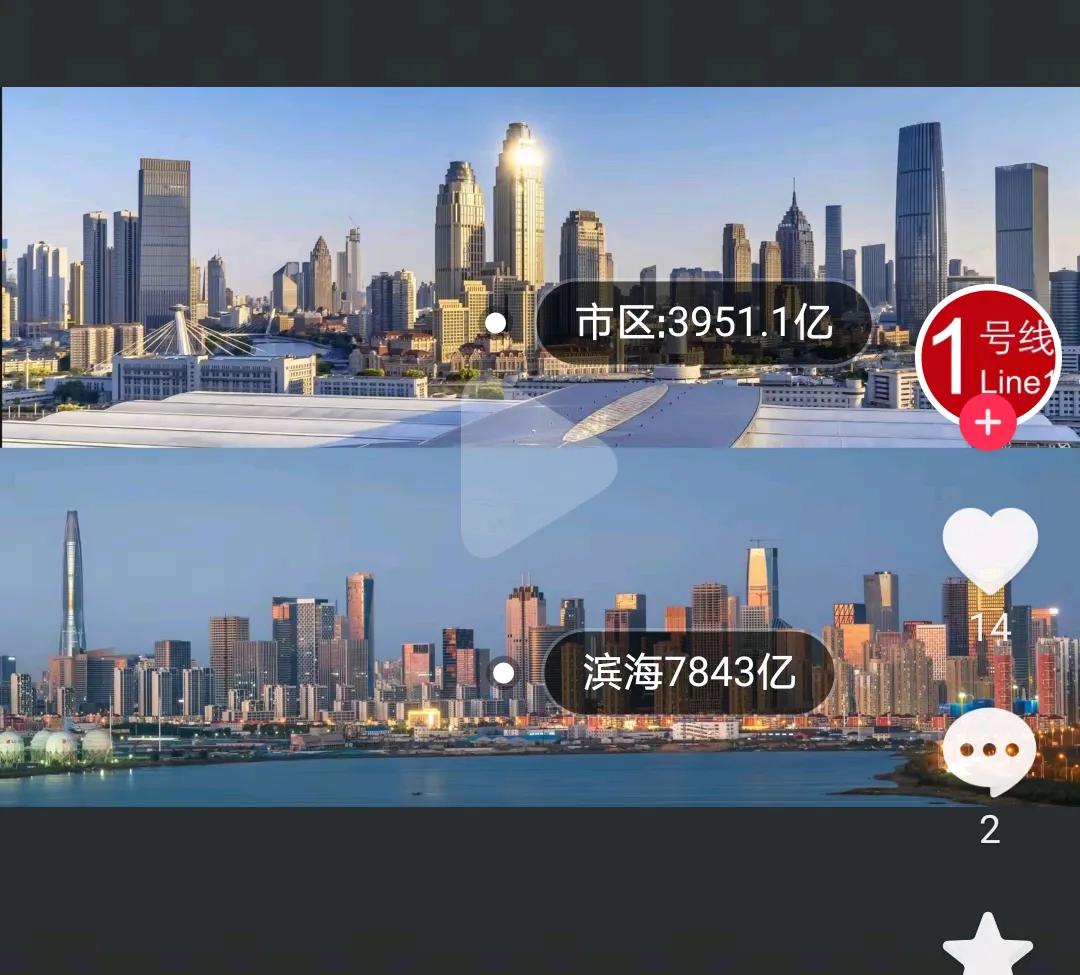 天津大麻花一向是走的双股路线！
   2024年滨海GDP7843亿（占全市43