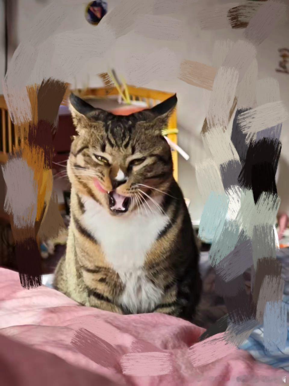 49847【丑猫】颜艺 