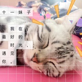 江蕨爱玩历史