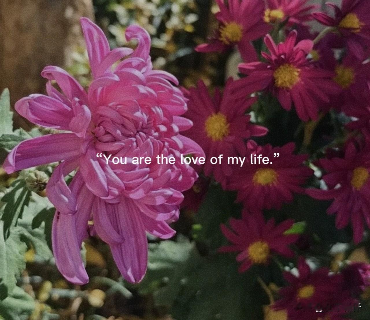 让座是情分，不是铁律。如果你自己没有感到特别疲惫、没有身体不适，让座是自然而然的