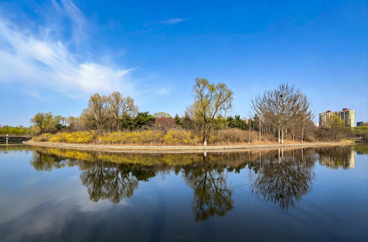 萌发
 
伊通河畔，新绿正从眉眼里渗出来，不喧哗，不争先，已把一冬的心事酿成薄薄