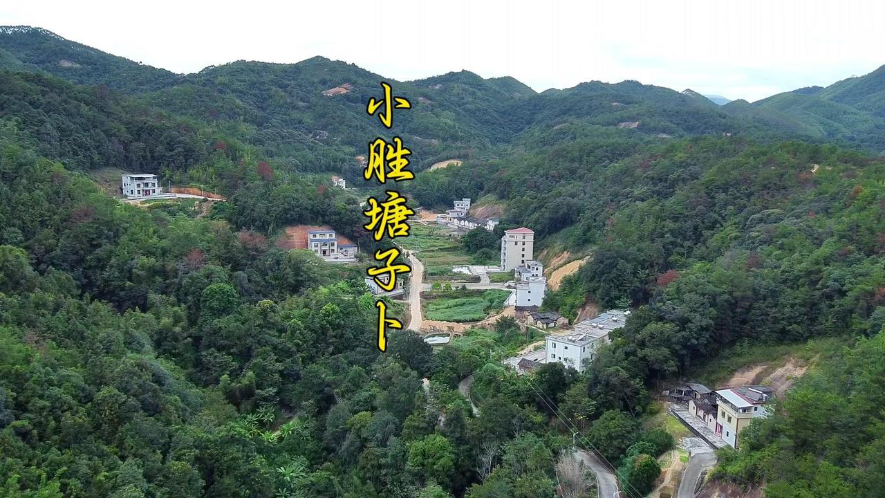 🌿走进梅州丰顺县小胜镇塘子卜村，才知道什么叫真正的“人少学霸多”。全村20多户