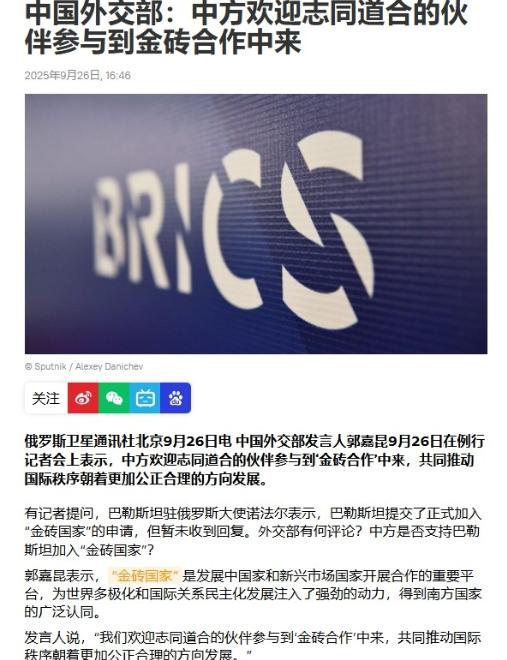 巴勒斯坦申请加入金砖，中方4个字回应冲上外网热搜，以色列美国全都破防了

“巴勒