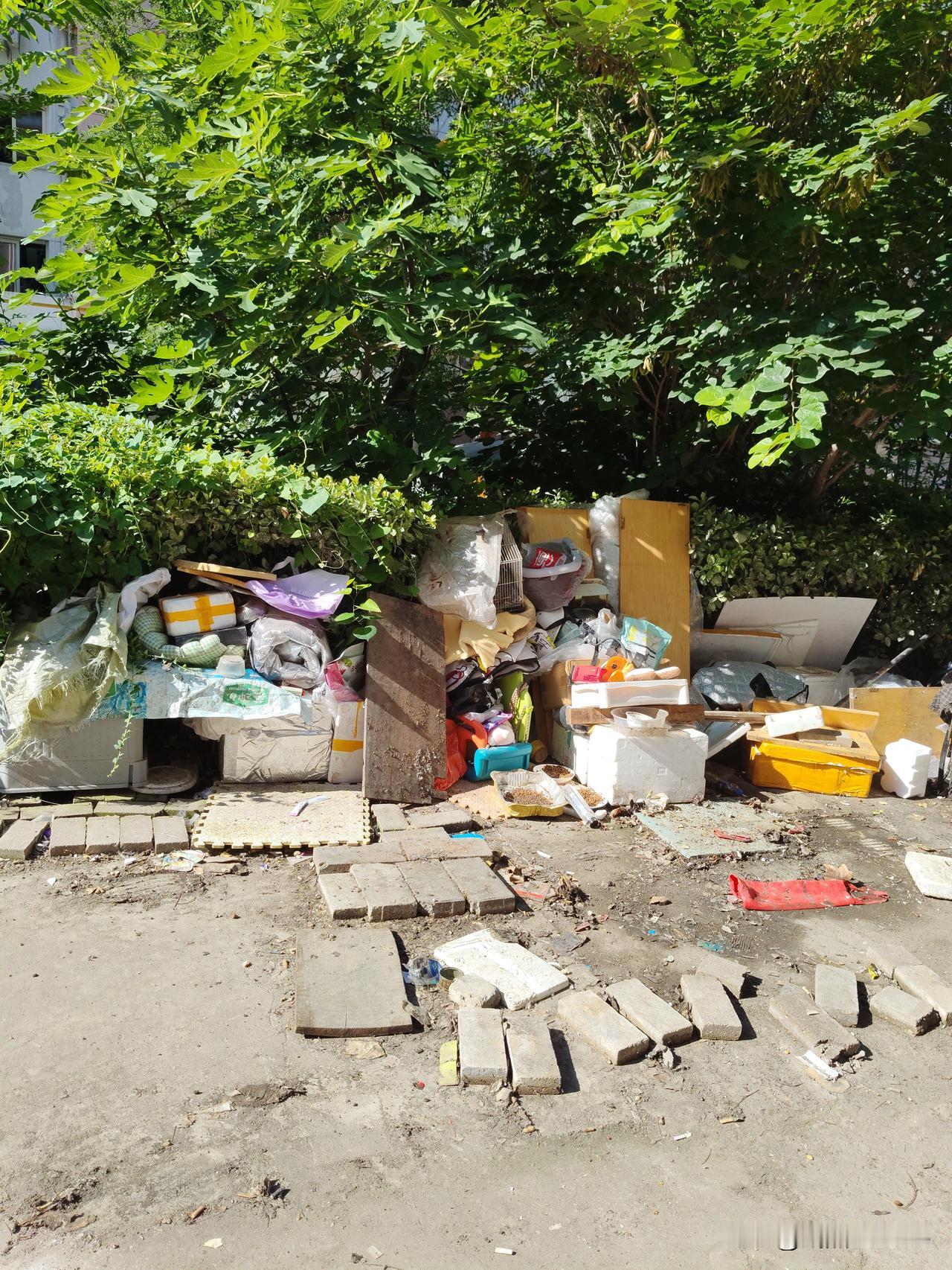 我们小区是2000年入住的，当时是我们国有企业以集体购买的方式分配给职工，完成最