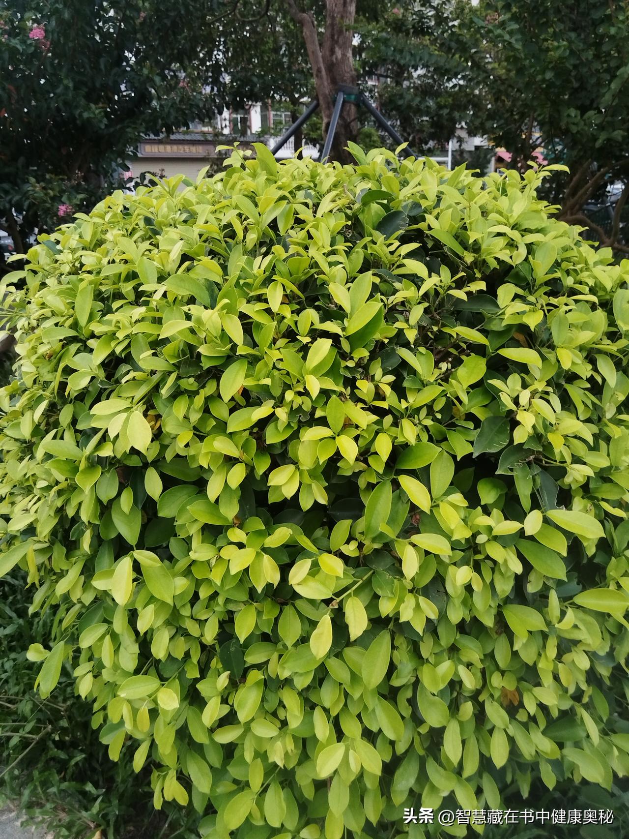 医院人满为患,说明什么问题?凌晨三点，儿童医院的走廊里依然挤满了人。年轻的父母抱