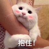小平头吹综艺