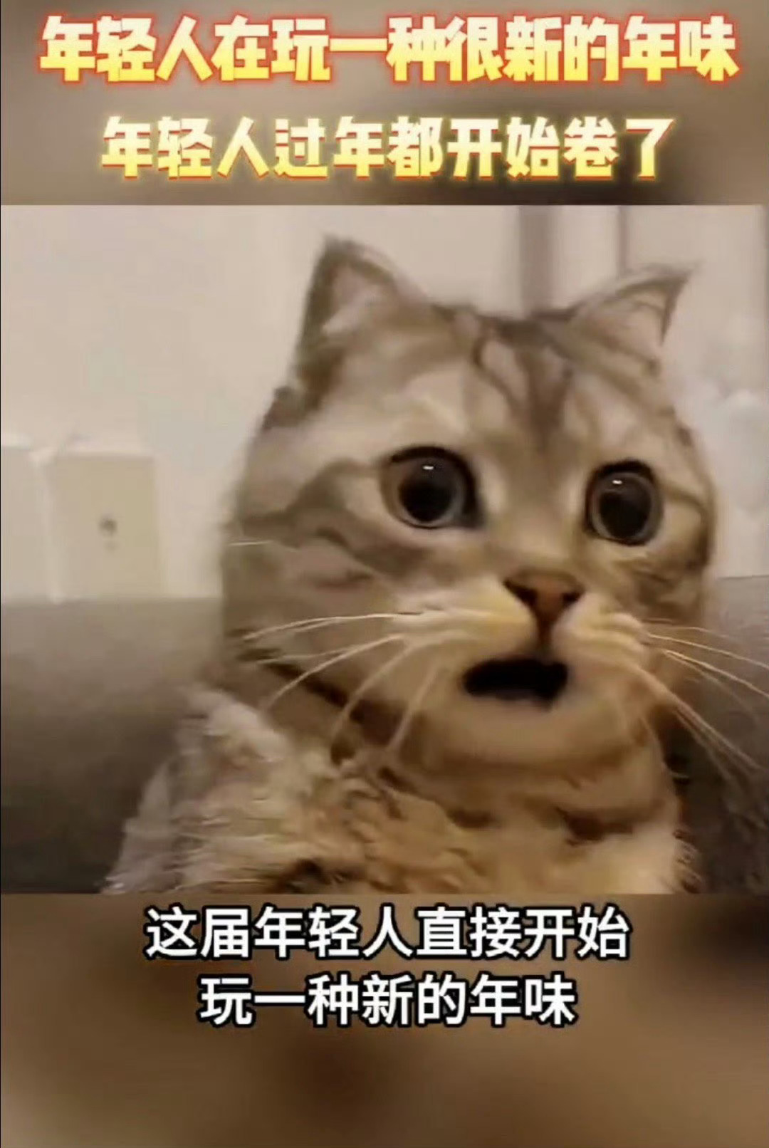 年轻人在玩一种新年味  旅行过年和创意年夜饭或者重温小时候的记忆是当下年轻人的过