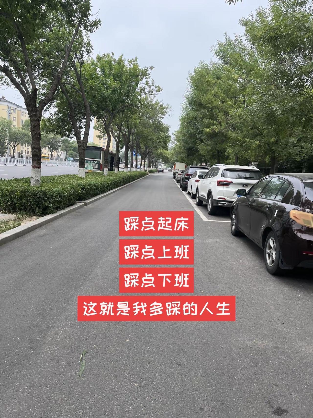 踩点起床 上班 下班，这就是我多踩的人生。路拍随记