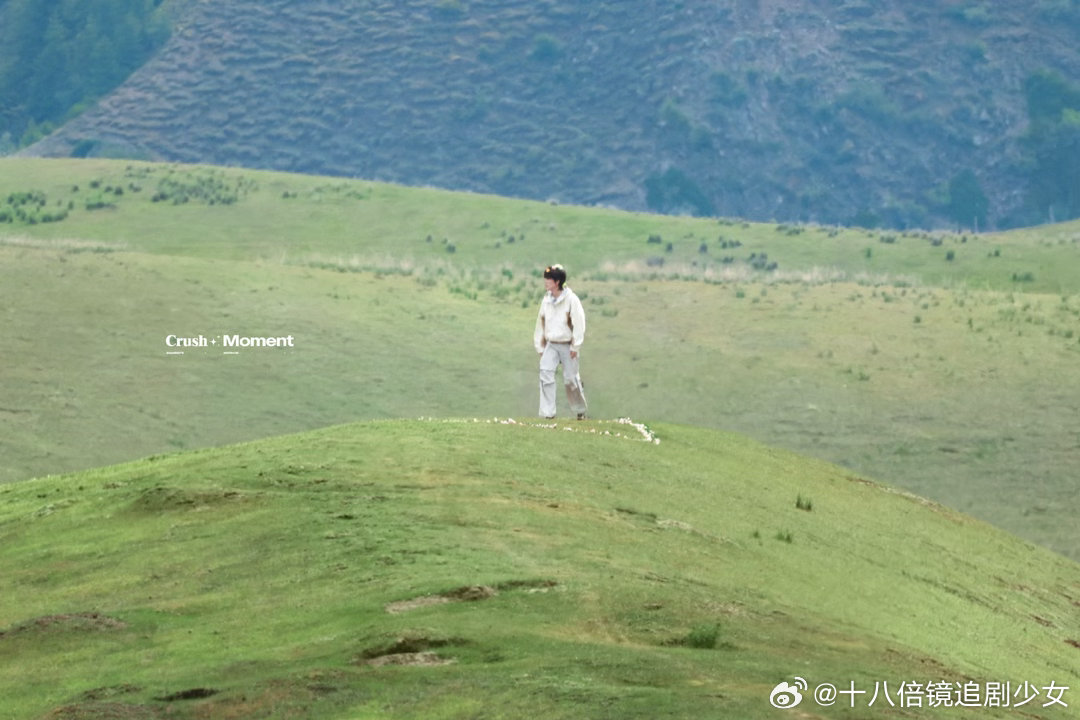 张泽禹对我屏保出手了张泽禹旷野治愈写真 鲜活灵动的旷野少年，张泽禹治愈系写真颜值