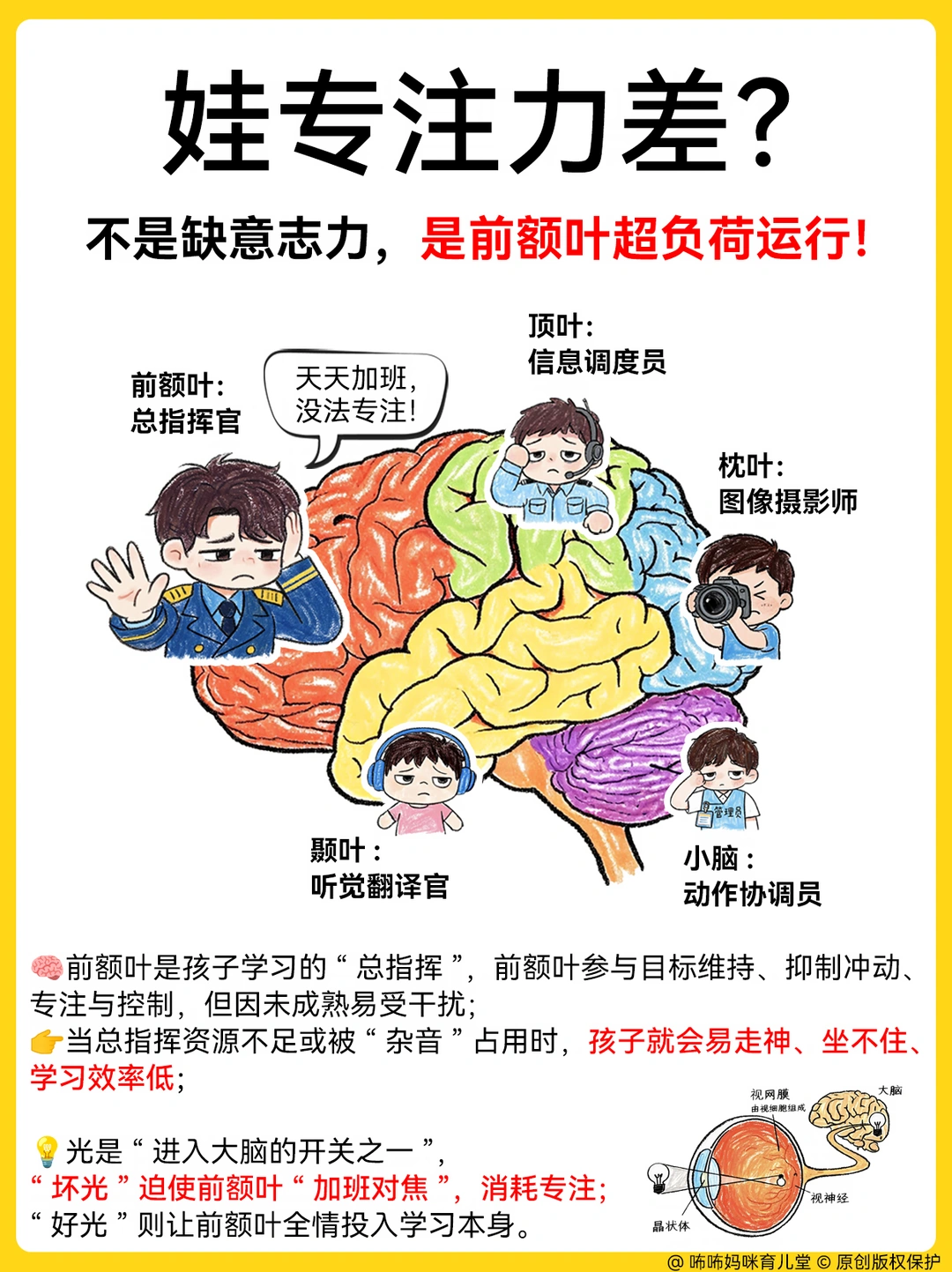 娃专注力不行❓真的不是懒，是前额叶累垮了