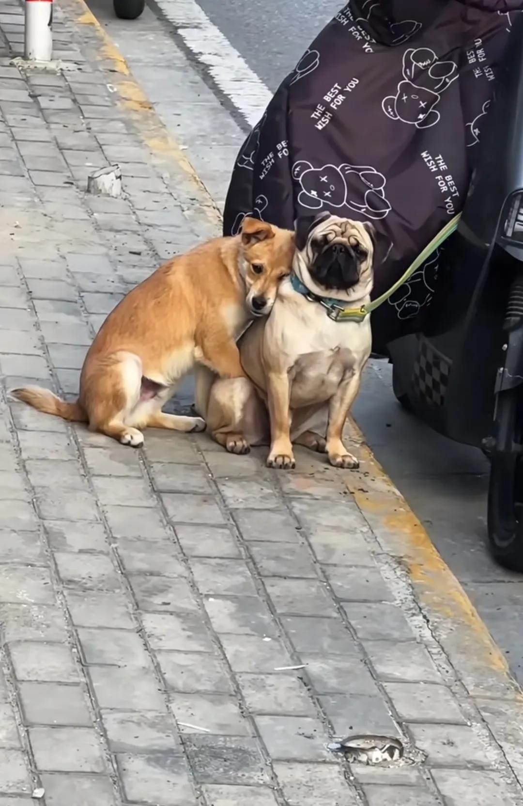 这就是所谓的好朋友嘛？[笑哭]