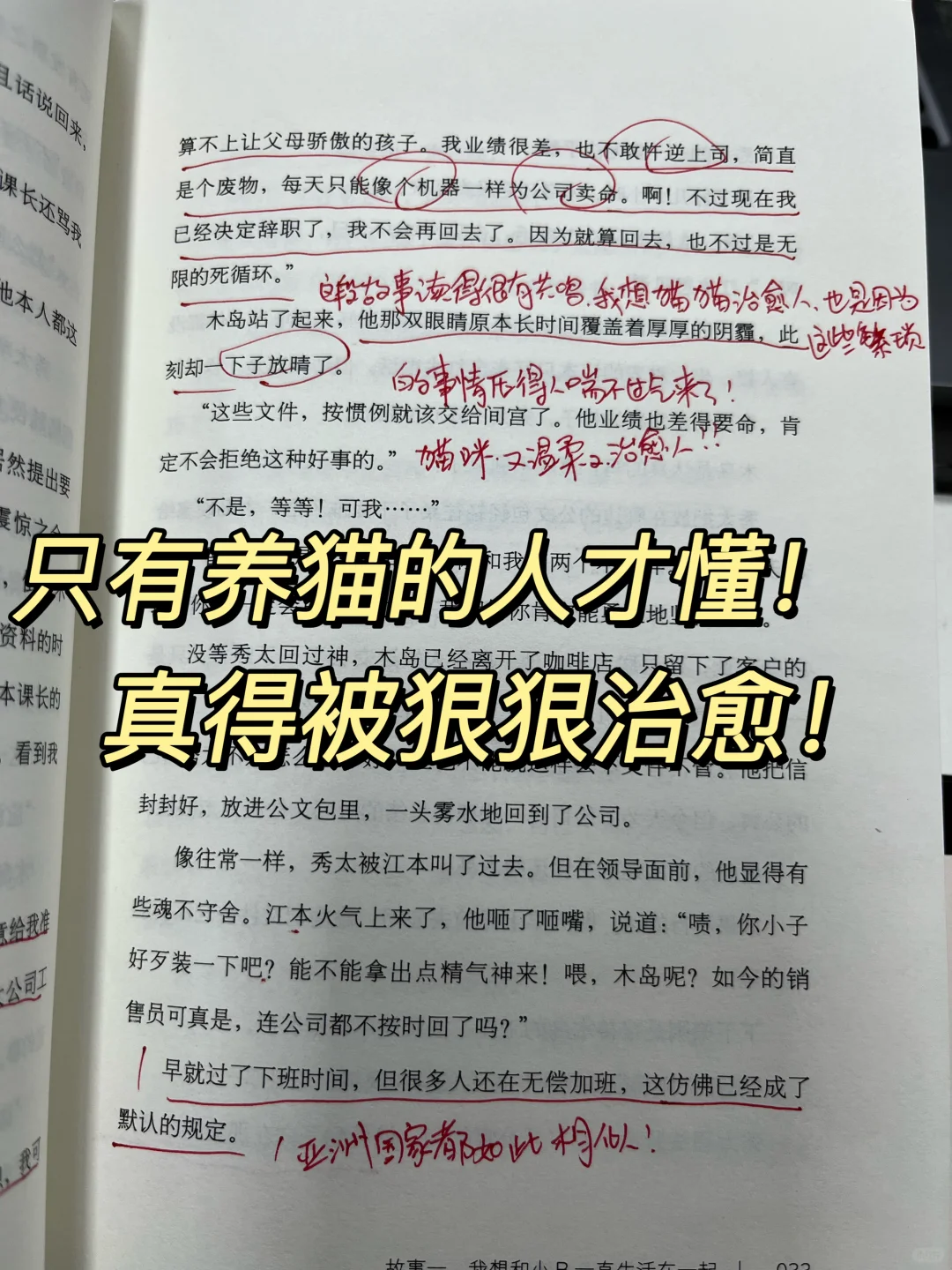 我终于理解24万日🇯🇵本人为啥能被治愈了🥹