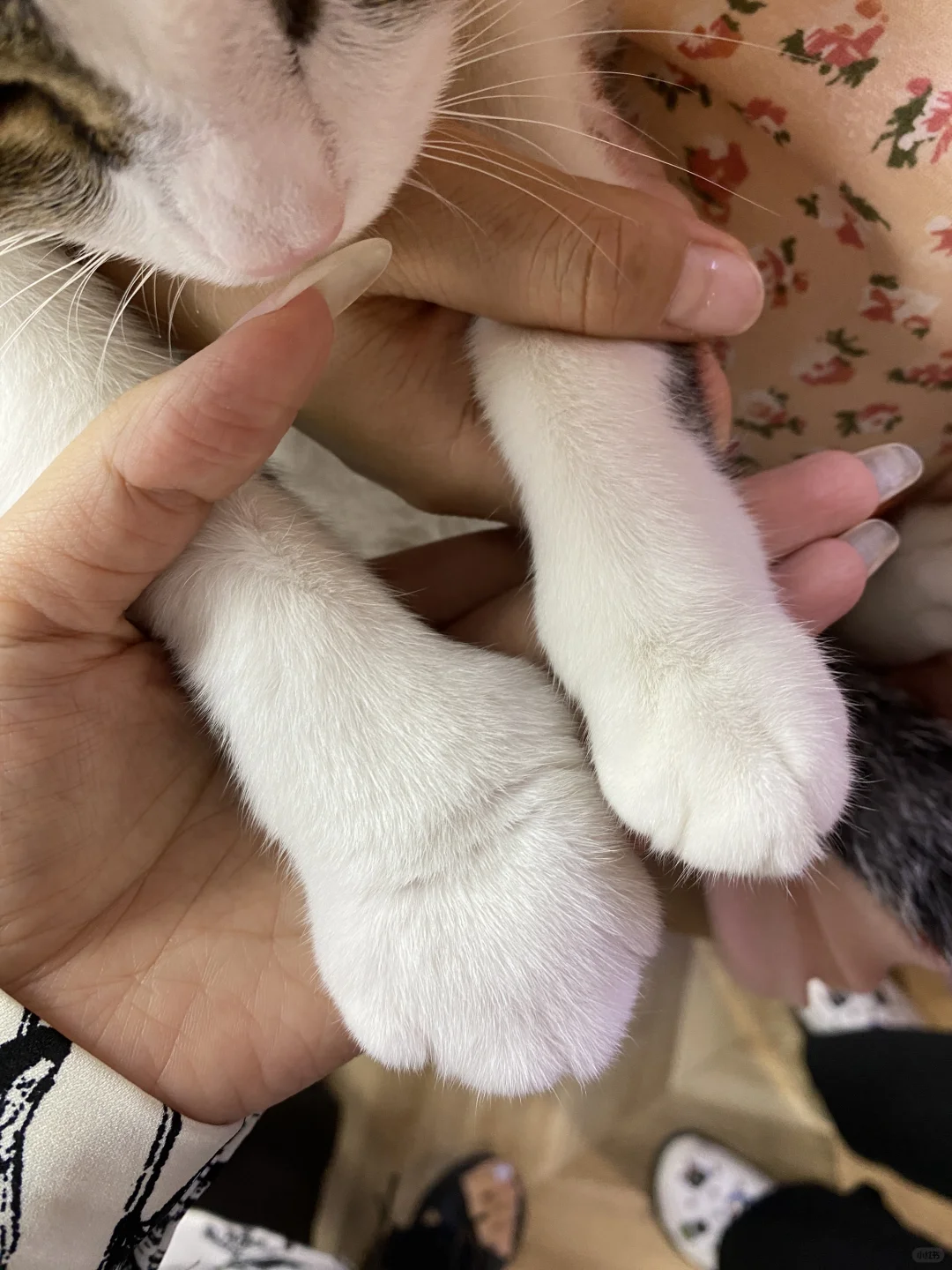 一边心疼他一边围观笑他