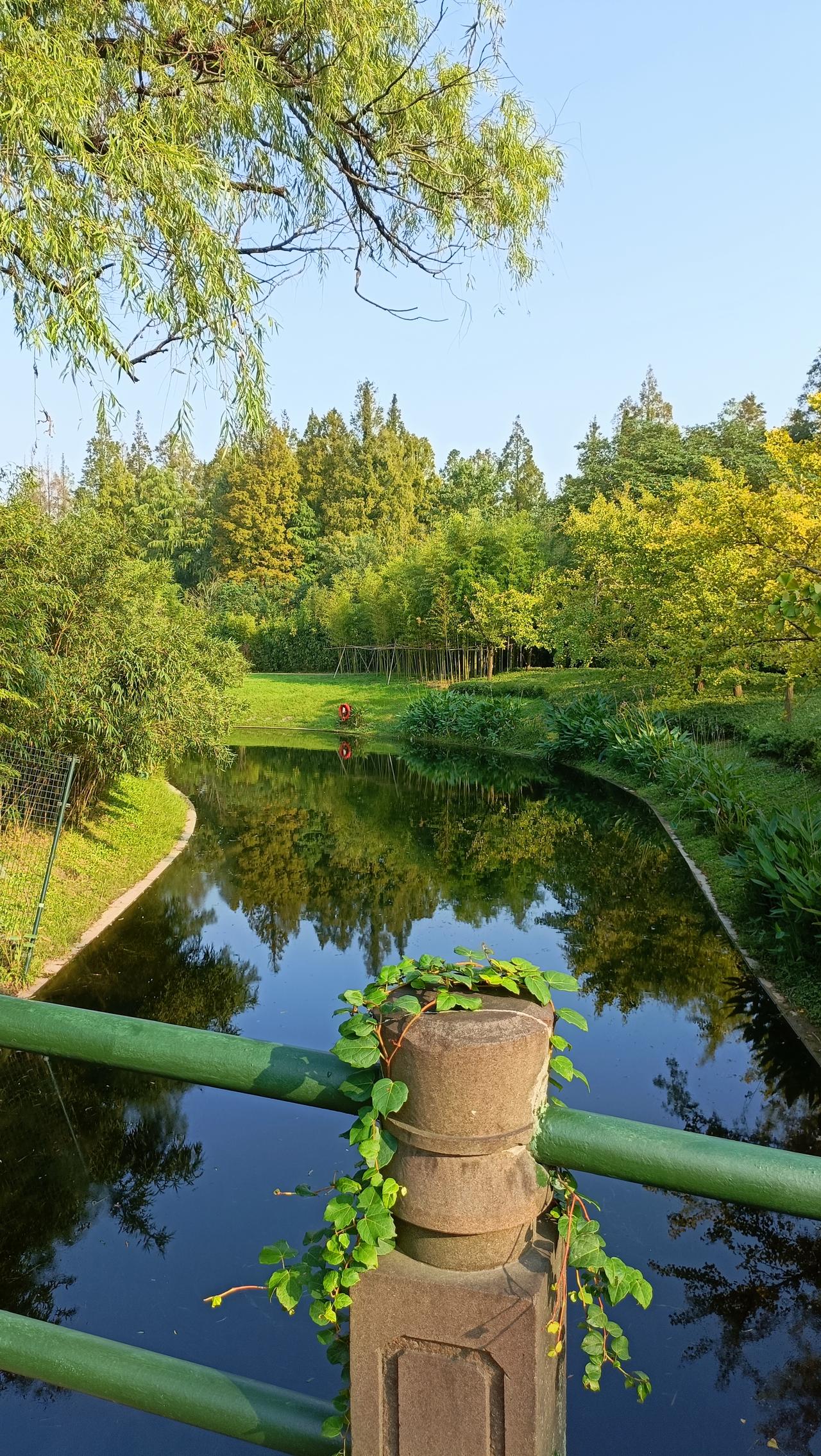 湖边绿树成荫，风景美如画。
上联:风揉柳影铺湖面，
下联:鸟衔树香落衣襟。