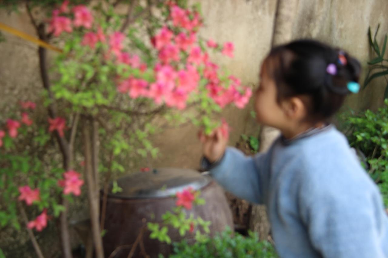 2025年暑期即将结束，这个暑期是漂泊不定的。
看书、吹管、关注国际民生、看喜欢