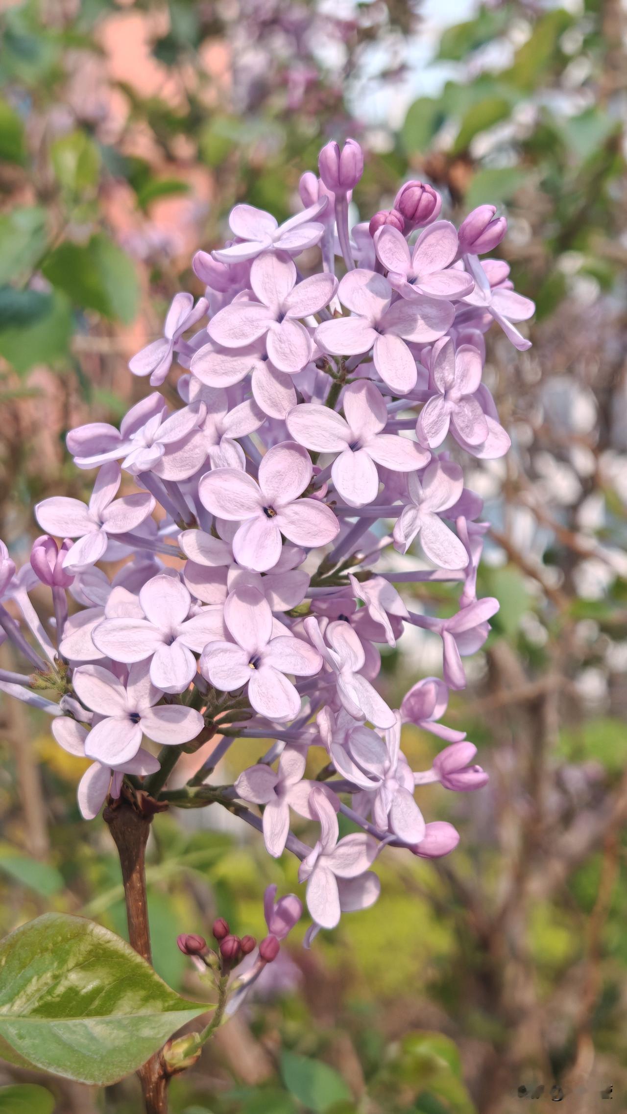 人快速丢掉霉运的方法：扔

1、厨房里的空瓶子

2、各种塑料袋

3、鞋盒快递