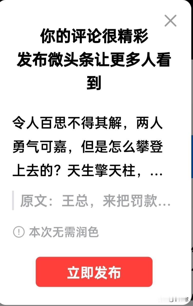 令人百思不得其解，两人勇气可嘉，但是怎么攀登上去的？天生擎天柱，壮士人为峰，心怀