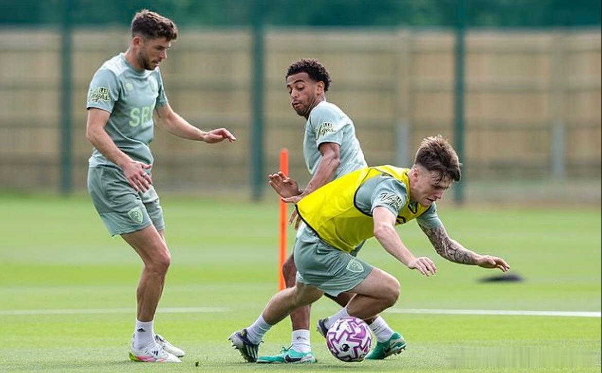 伯恩利成为大冤种每日邮报评选本赛季最差转会之一：伯恩茅斯曾以为他们用2500万英