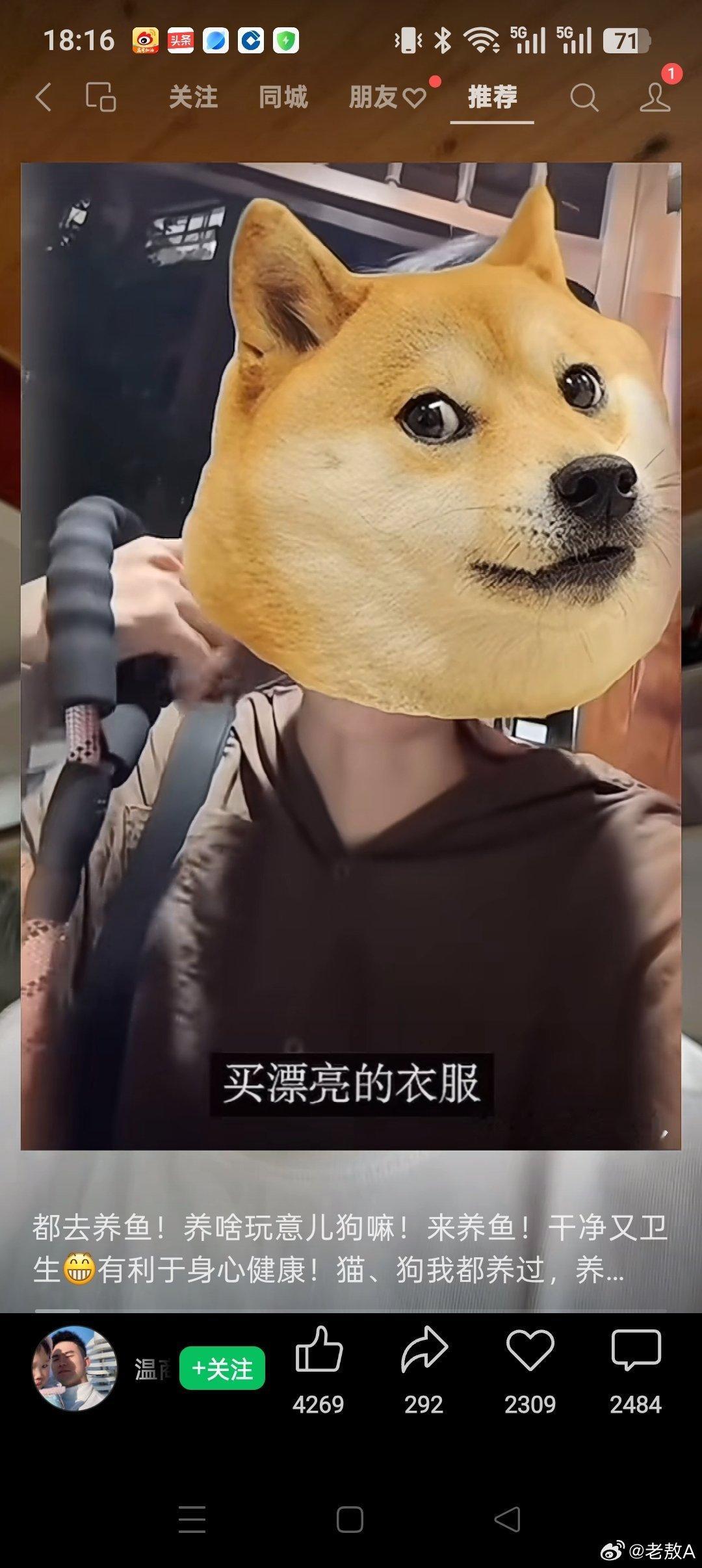 视频号里现奇葩，人身狗头吐脏话。锦衣玉食狗生活，甘愿沦落当狗妈。 